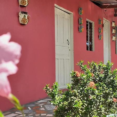 Guest House Nena 莫约加尔帕 外观 照片