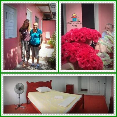 Guest House Nena 莫约加尔帕 外观 照片