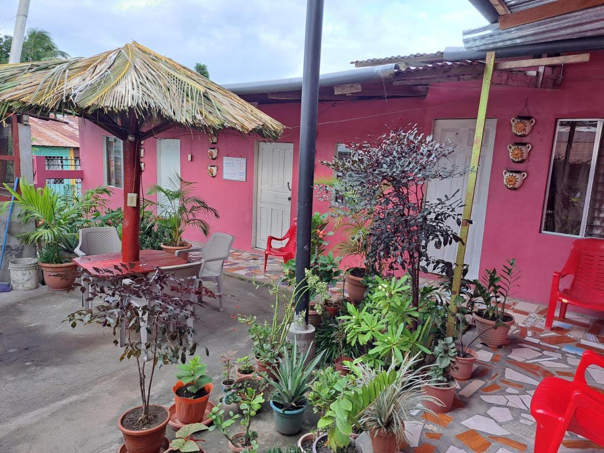 Guest House Nena 莫约加尔帕 外观 照片